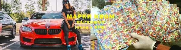 эйфоретик Инта