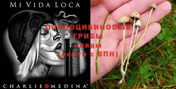 винт Каменногорск