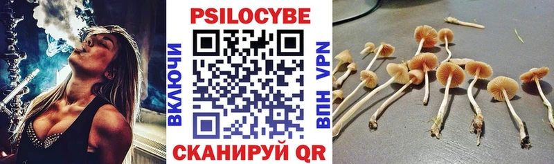 Купить  Октябрьский  Псилоцибиновые грибы MAGIC MUSHROOMS 